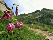 Anello Laghi di Porcile-Passo di Tartano, Cima-Passo di Lemma da Baita del Camoscio (5 luglio 2021)- FOTOGALLERY